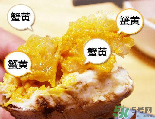 六月黃大閘蟹好吃嗎？六月黃和大閘蟹有什么區別？