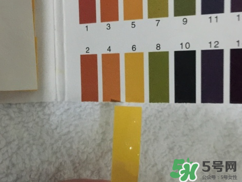 eve女性護理液粉色瓶和藍色瓶有什么區別？