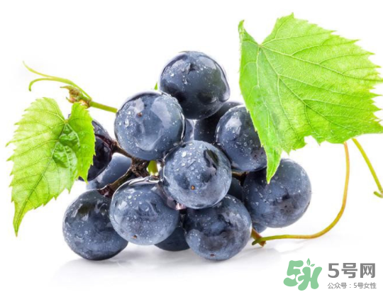 夏黑葡萄為什么掉色？夏黑葡萄怎么會染色？