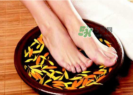 三伏天能用姜泡腳嗎？三伏天用姜泡腳好嗎？