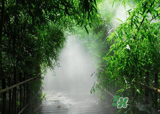 2017大暑會(huì)不會(huì)下雨？2017大暑下雨好嗎？