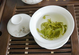 碧螺春是涼性的嗎？碧螺春是溫性還是涼性