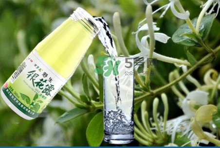 金銀花露怎么打開(kāi)？金銀花露能降火嗎