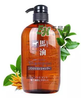 熊野馬油洗發水起頭屑嗎？KUMANO洗發水用完長頭屑嗎？