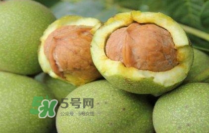 一斤青皮核桃退皮后剩多少？青皮核桃和普通核桃的區別