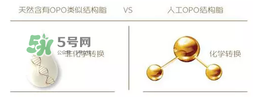 奶粉里面的OPO是什么？opo是天然的還是后期添加的？