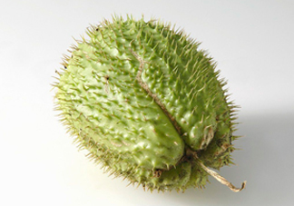 刺果番荔枝多少錢(qián)一斤？刺果番荔枝哪里有賣(mài)？