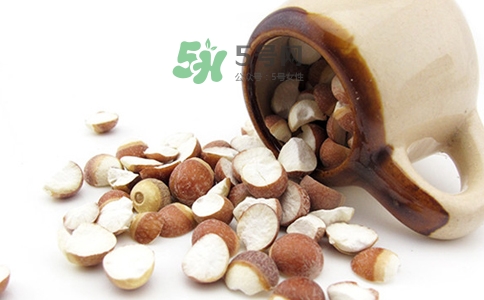 三伏天可以補腎嗎？三伏天可以進補嗎？