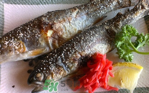 鱒魚是三文魚嗎？鱒魚是什么魚