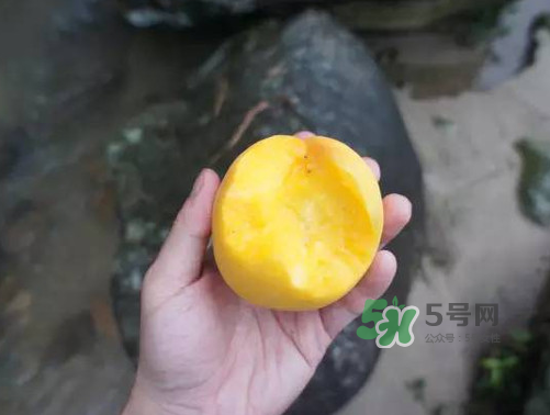 炎陵黃桃什么時候成熟？炎陵黃桃好吃嗎？