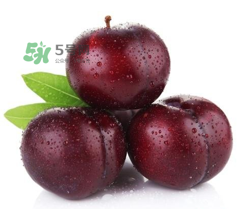 黑布林可以泡酒嗎？黑布林怎么吃？