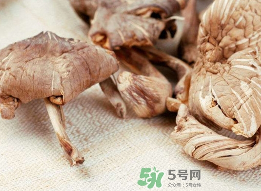 雞樅菌有毒嗎？雞樅菌不能和什么一起吃？