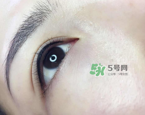 美瞳線有幾種款式？美瞳線有小尾巴嗎？