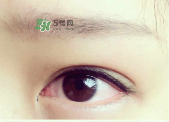 美瞳線有幾種款式？美瞳線有小尾巴嗎？