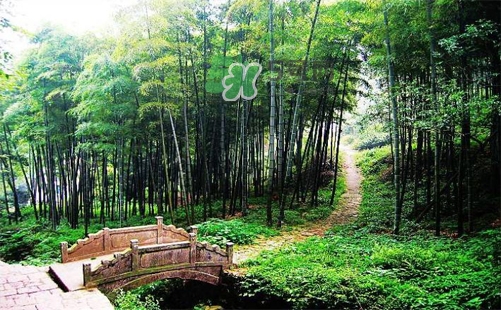 夏天去哪里旅游最好？夏天旅游哪里涼快？