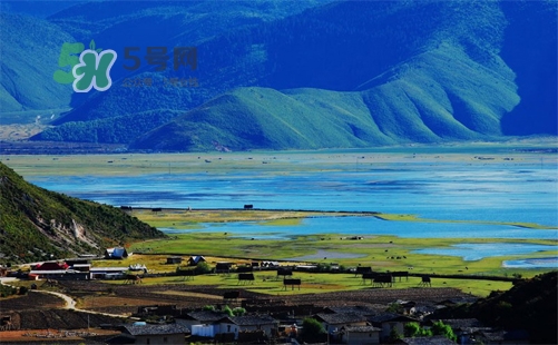 夏天去哪里旅游最好？夏天旅游哪里涼快？