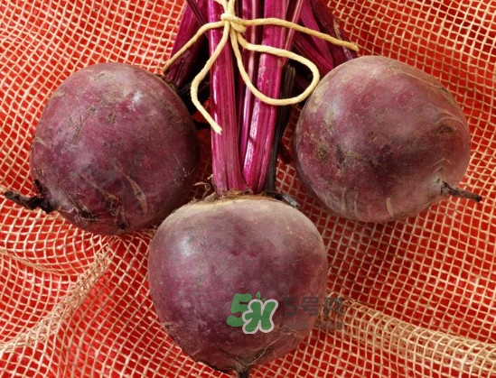 甜菜根是什么菜？甜菜根什么季節(jié)收獲
