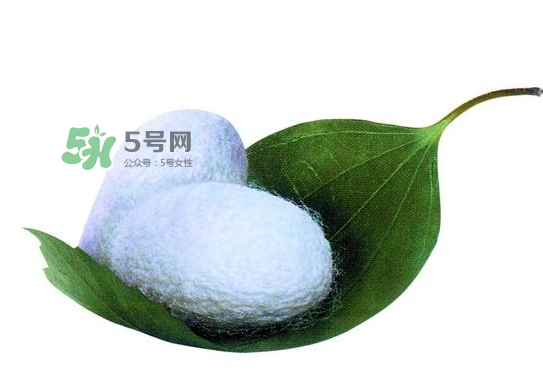 蠶繭多少錢一斤2017？2017年蠶繭價格是多少？
