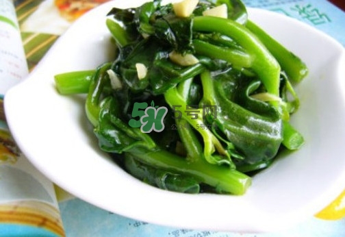 木耳菜是什么季節的菜？木耳和木耳菜有區別嗎