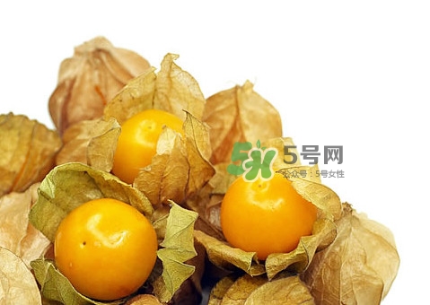 姑娘果怎么挑選？姑娘果產地在什么地方