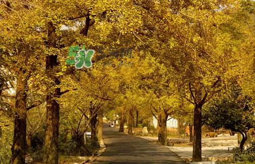 9月份去浙江穿什么？九月份去浙江穿什么衣服