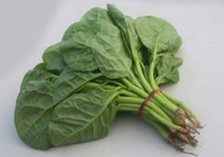 木耳菜怎么清洗？木耳菜怎么擇？