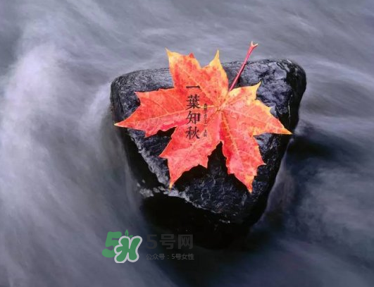 2017早立秋還是晚立秋？早立秋和晚立秋的區別