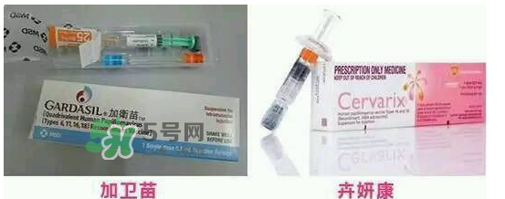 hpv疫苗9價(jià)4價(jià)2價(jià)有什么區(qū)別？hpv疫苗三款應(yīng)該怎么選？