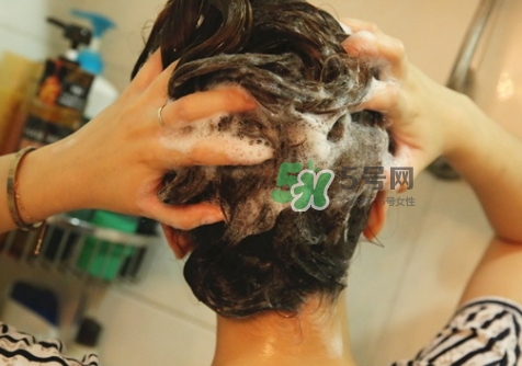 hair recipe洗發水多少錢？hair recipe水果洗發水保質期