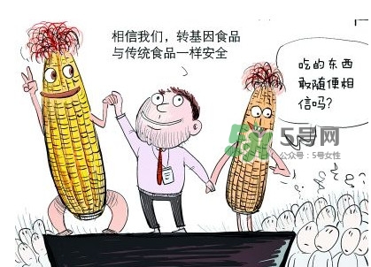 雜交水稻是不是轉基因？轉基因食品有哪些？
