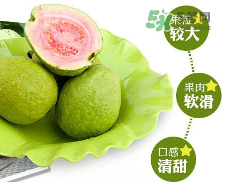 芭樂怎么挑選？如何挑選紅心芭樂