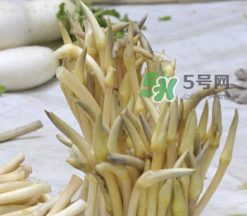2017年藕帶什么時候下市？藕帶下市時間是幾月？