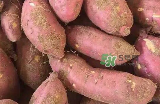 地瓜發芽了怎么種盆栽？拔絲地瓜怎么熬糖