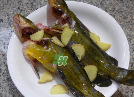 黃刺魚幾月份最好釣？黃刺魚怎么釣