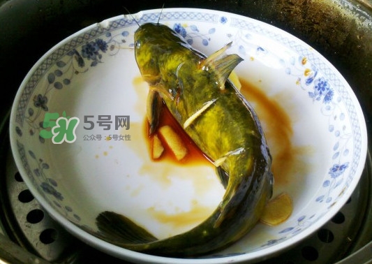 黃刺魚怎么殺？黃刺魚怎么處理