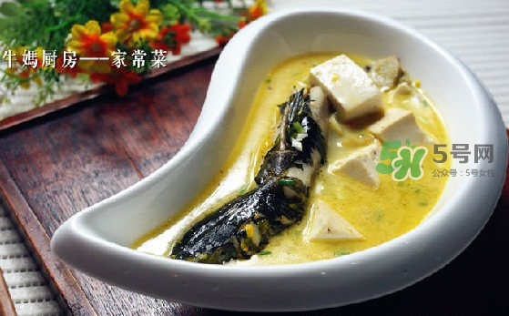 黃刺魚怎么殺？黃刺魚怎么處理