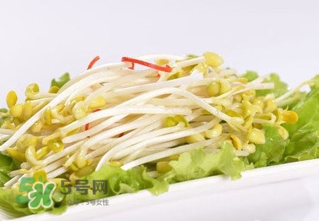 豆芽怎么保存？新鮮豆芽放冰箱能放幾天？