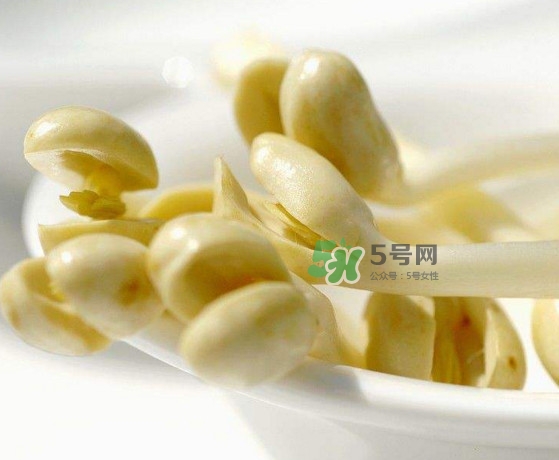 花生芽炒菜吃可以嗎？花生芽能吃嗎