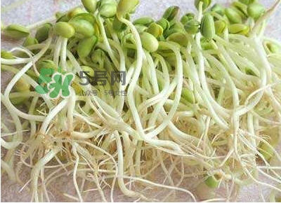 豆芽是發物嗎？豆芽能見陽光嗎