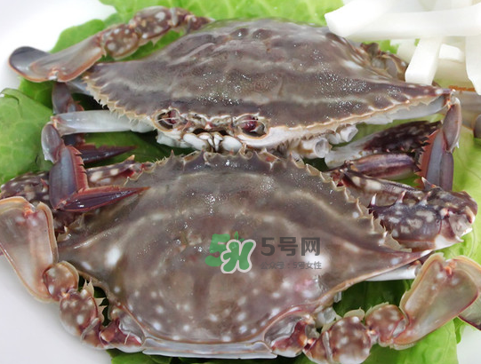 梭子蟹為什么這么貴？梭子蟹和大閘蟹哪個貴？