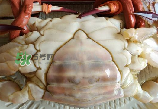 飛蟹多少錢一斤？飛蟹多少錢一斤2017？