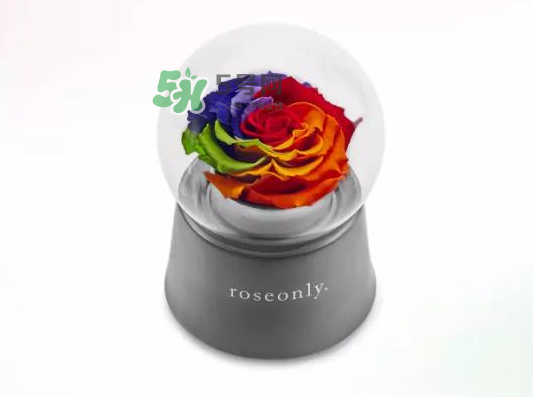 roseonly音樂盒多少錢？roseonly音樂盒歌曲名