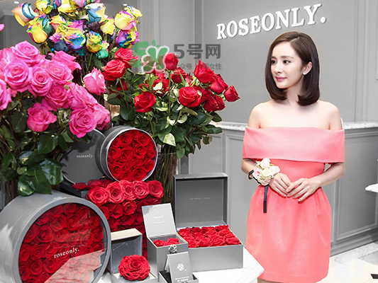 roseonly音樂盒多少錢？roseonly音樂盒歌曲名