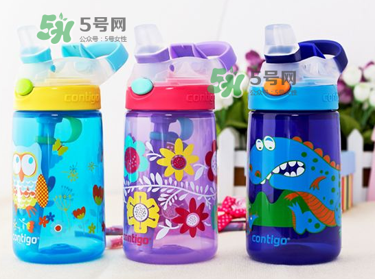 contigo水杯怎么樣？contigo水杯是什么材質(zhì)？