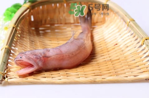 龍頭魚身是什么神獸？龍頭魚身是什么寓意