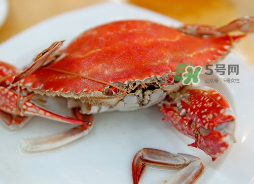 梭子蟹可以清蒸嗎？梭子蟹蒸還是煮？