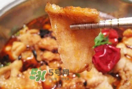 龍利魚有寄生蟲嗎？龍利魚有假的嗎