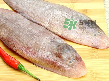 寶寶多大能吃龍利魚(yú)？幾個(gè)月的寶寶可以吃龍利魚(yú)