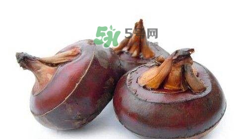 野荸薺怎么吃？野荸薺的食用功效