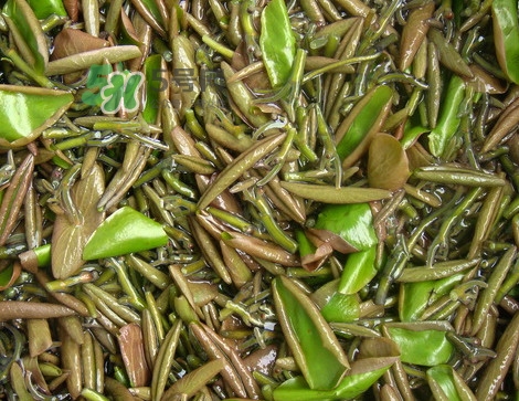 莼菜是發物嗎？莼菜涼拌要過開水嗎